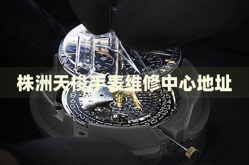 株洲天梭手表維修中心地址