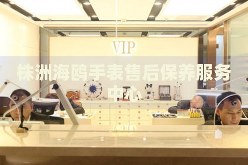株洲海鷗手表售后保養(yǎng)服務(wù)中心