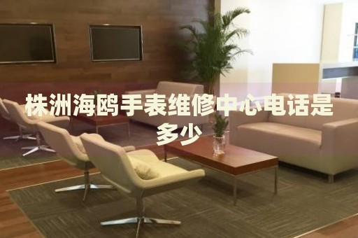 株洲海鷗手表維修中心電話是多少