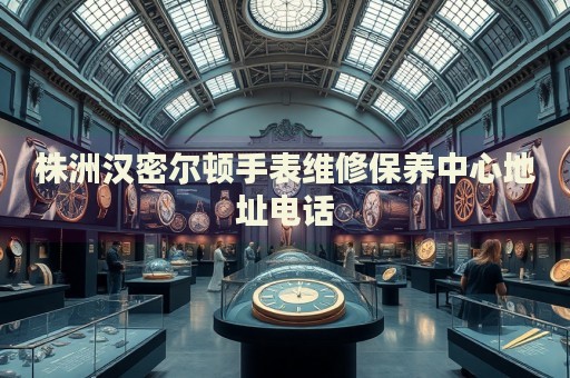 株洲漢密爾頓手表維修保養(yǎng)中心地址電話