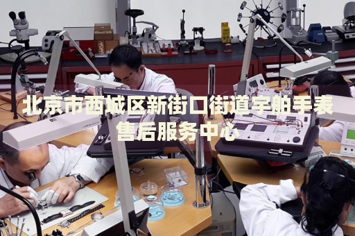 北京市西城區(qū)新街口街道宇舶手表售后服務(wù)中心