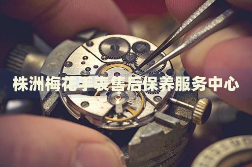 株洲梅花手表售后保養(yǎng)服務(wù)中心