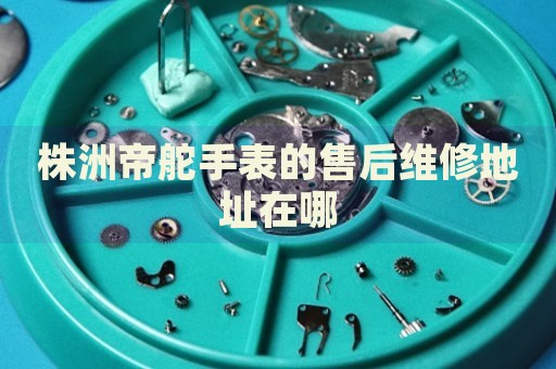 株洲帝舵手表的售后維修地址在哪
