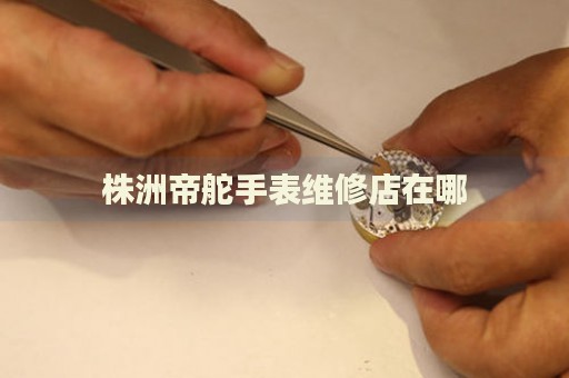 株洲帝舵手表維修店在哪
