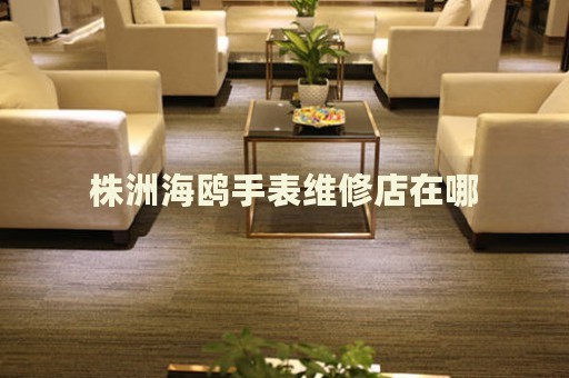 株洲海鷗手表維修店在哪