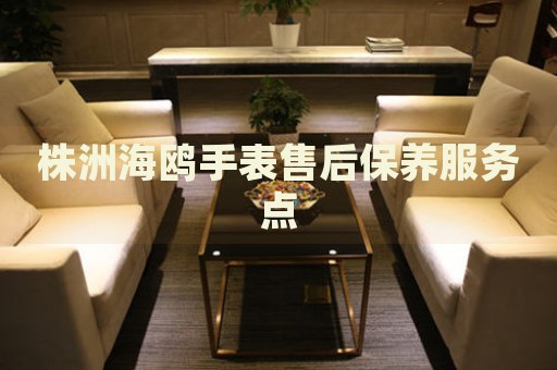 株洲海鷗手表售后保養(yǎng)服務(wù)點(diǎn)