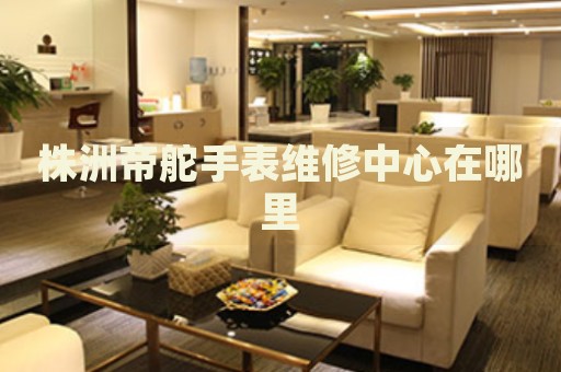 株洲帝舵手表維修中心在哪里