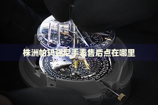 株洲帕瑪強(qiáng)尼手表售后點(diǎn)在哪里