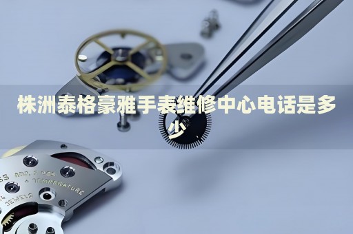 株洲泰格豪雅手表維修中心電話是多少