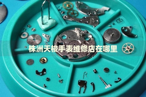 株洲天梭手表維修店在哪里