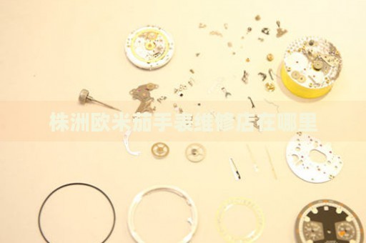 株洲歐米茄手表維修店在哪里