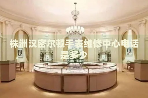 株洲漢密爾頓手表維修中心電話是多少