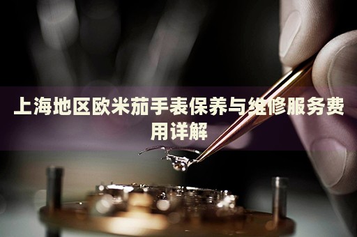 上海地區(qū)歐米茄手表保養(yǎng)與維修服務(wù)費(fèi)用詳解