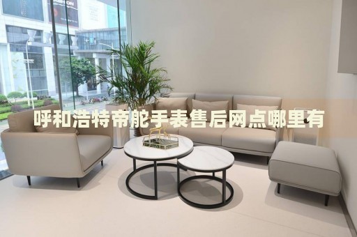 呼和浩特帝舵手表售后網(wǎng)點(diǎn)哪里有
