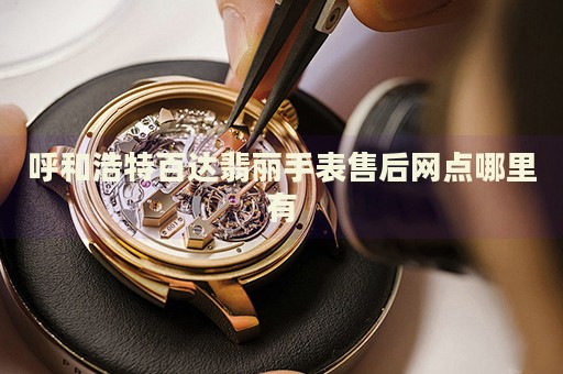 呼和浩特百達(dá)翡麗手表售后網(wǎng)點(diǎn)哪里有