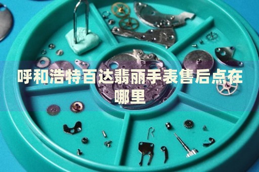 呼和浩特百達(dá)翡麗手表售后點(diǎn)在哪里