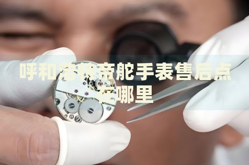 呼和浩特帝舵手表售后點(diǎn)在哪里