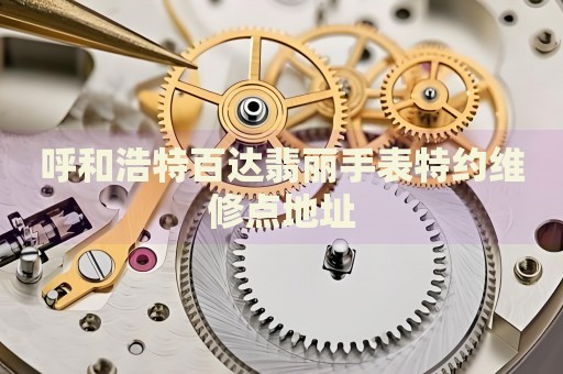 呼和浩特百達(dá)翡麗手表特約維修點(diǎn)地址