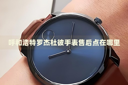 呼和浩特羅杰杜彼手表售后點(diǎn)在哪里