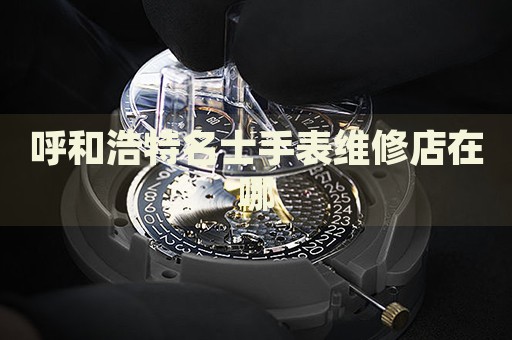 呼和浩特名士手表維修店在哪