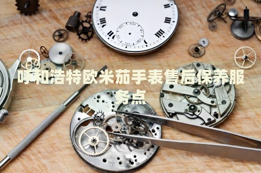 呼和浩特歐米茄手表售后保養(yǎng)服務點