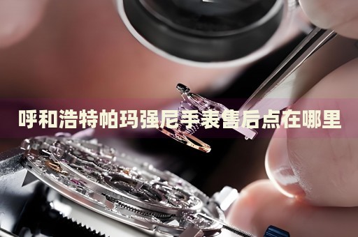 呼和浩特帕瑪強尼手表售后點在哪里