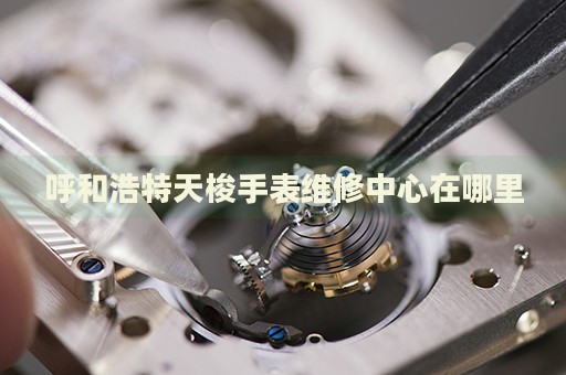 呼和浩特天梭手表維修中心在哪里