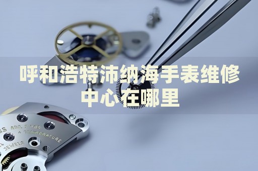 呼和浩特沛納海手表維修中心在哪里