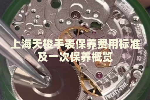 上海天梭手表保養(yǎng)費(fèi)用標(biāo)準(zhǔn)及一次保養(yǎng)概覽
