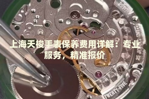 上海天梭手表保養(yǎng)費(fèi)用詳解：專業(yè)服務(wù)，精準(zhǔn)報(bào)價(jià)