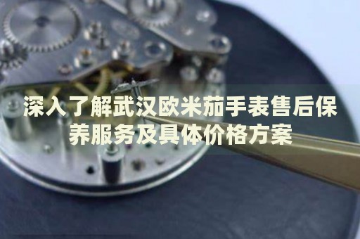 深入了解武漢歐米茄手表售后保養(yǎng)服務(wù)及具體價(jià)格方案