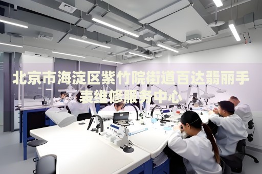 北京市海淀區(qū)紫竹院街道百達(dá)翡麗手表維修服務(wù)中心