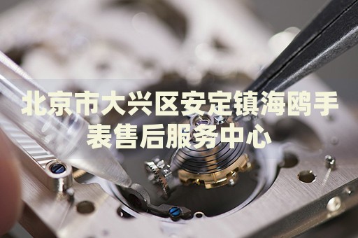北京市大興區(qū)安定鎮(zhèn)海鷗手表售后服務(wù)中心