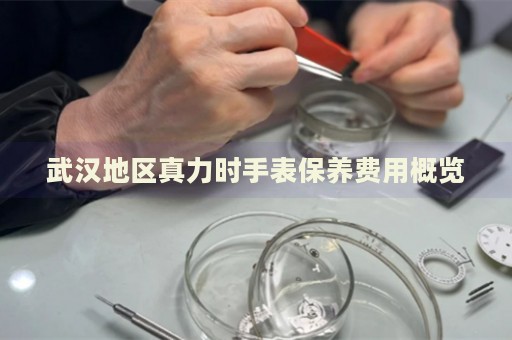武漢地區(qū)真力時(shí)手表保養(yǎng)費(fèi)用概覽