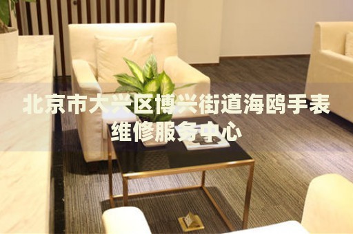 北京市大興區(qū)博興街道海鷗手表維修服務(wù)中心