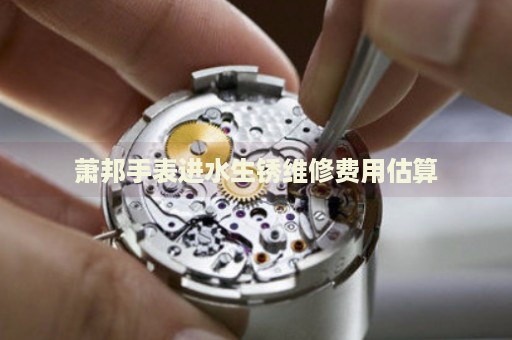 蕭邦手表進(jìn)水生銹維修費(fèi)用估算