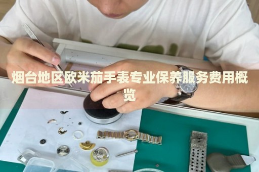 煙臺(tái)地區(qū)歐米茄手表專業(yè)保養(yǎng)服務(wù)費(fèi)用概覽