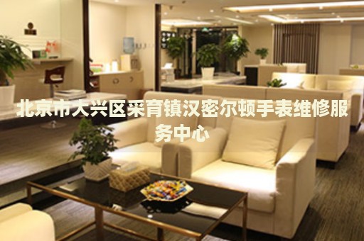北京市大興區(qū)采育鎮(zhèn)漢密爾頓手表維修服務(wù)中心