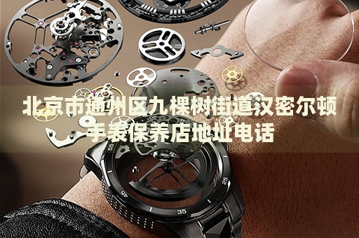 北京市通州區(qū)九棵樹街道漢密爾頓手表保養(yǎng)店地址電話