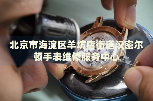 北京市海淀區(qū)羊坊店街道漢密爾頓手表維修服務(wù)中心