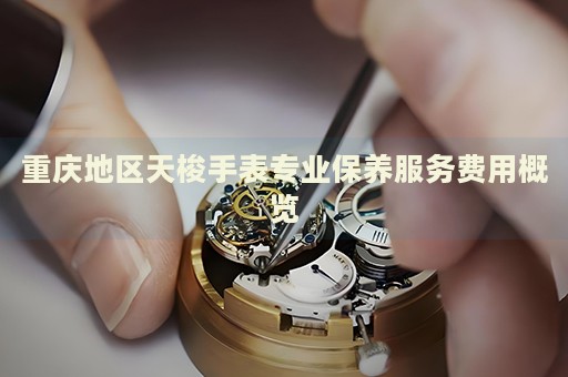 重慶地區(qū)天梭手表專業(yè)保養(yǎng)服務(wù)費(fèi)用概覽