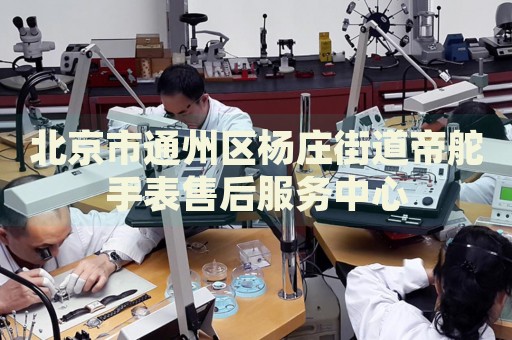 北京市通州區(qū)楊莊街道帝舵手表售后服務(wù)中心