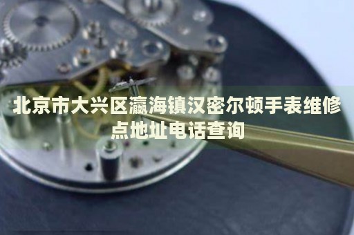 北京市大興區(qū)瀛海鎮(zhèn)漢密爾頓手表維修點(diǎn)地址電話查詢