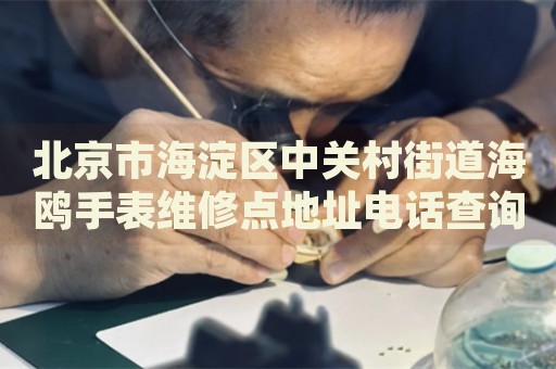 北京市海淀區(qū)中關村街道海鷗手表維修點地址電話查詢