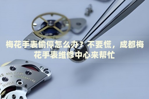 梅花手表偷停怎么辦？不要慌，成都梅花手表維修中心來幫忙