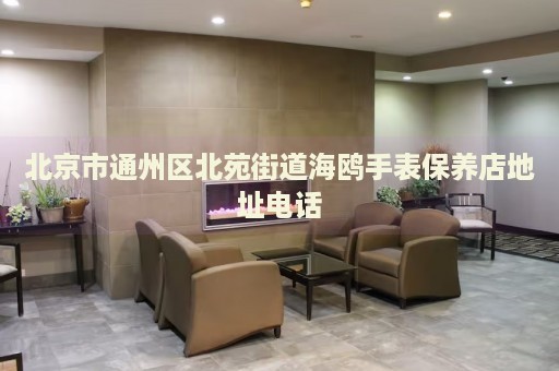北京市通州區(qū)北苑街道海鷗手表保養(yǎng)店地址電話