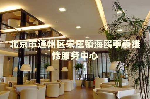 北京市通州區(qū)宋莊鎮(zhèn)海鷗手表維修服務(wù)中心