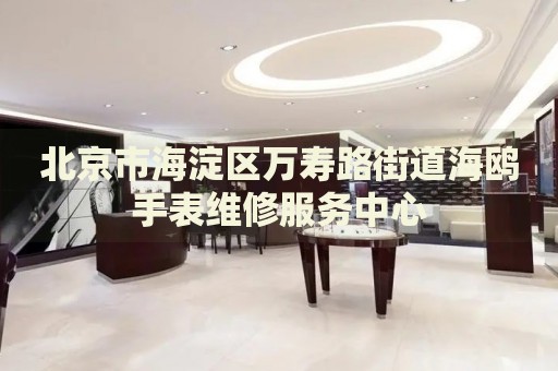 北京市海淀區(qū)萬壽路街道海鷗手表維修服務(wù)中心
