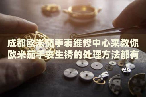 成都歐米茄手表維修中心來教你歐米茄手表生銹的處理方法都有哪些？